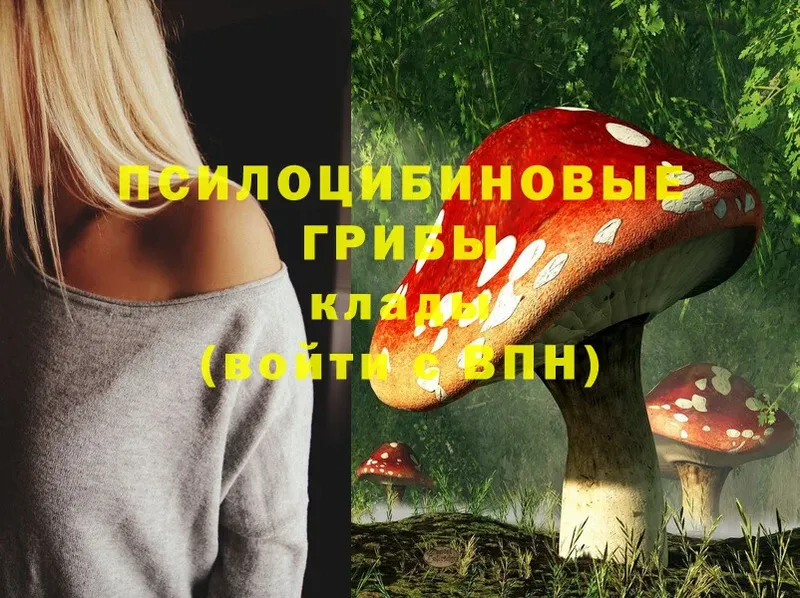 Галлюциногенные грибы Magic Shrooms  Сосновка 